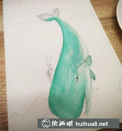 鯨魚插畫