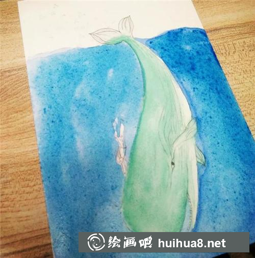 鯨魚插畫