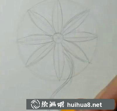 兒童畫教程：教你畫雛菊