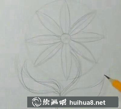 兒童畫教程：教你畫雛菊