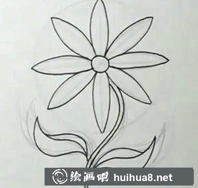 兒童畫教程：教你畫雛菊