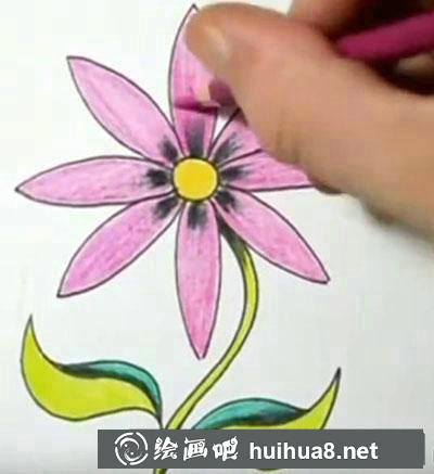 兒童畫教程：教你畫雛菊