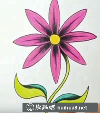 兒童畫教程：教你畫雛菊