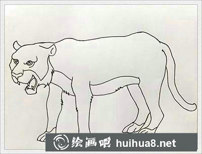 兒童畫教程：教你畫老虎