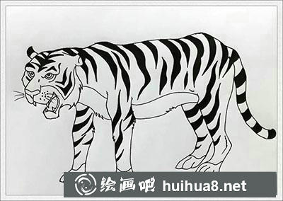 兒童畫教程：教你畫老虎