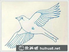 兒童繪畫(huà)教程：鳥(niǎo)兒繪制指南