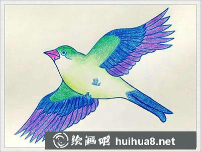 兒童畫(huà)教程：教你畫(huà)鳥(niǎo)