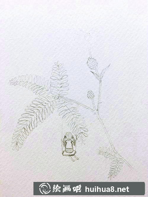 含羞草插畫