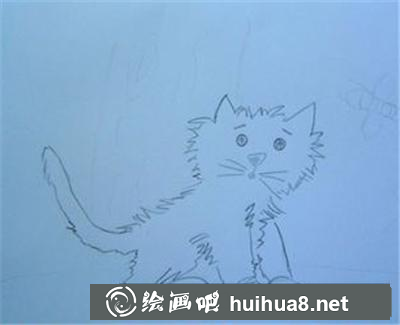 看蜜蜂的小貓咪