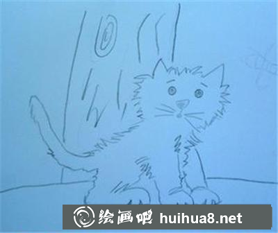看蜜蜂的小貓咪