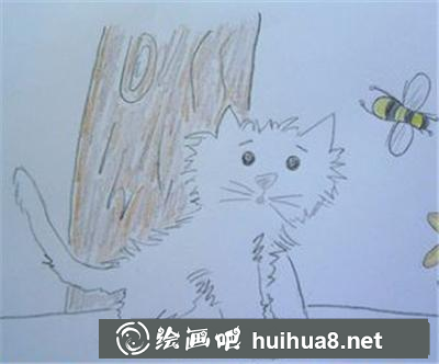 看蜜蜂的小貓咪