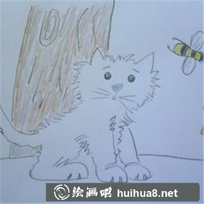 看蜜蜂的小貓咪