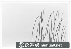 風(fēng)景鋼筆畫教學(xué)：蘆葦繪法揭秘