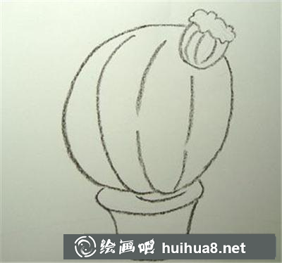 如何畫圓圓的仙人球植物