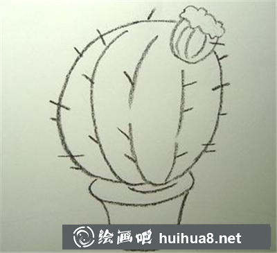 如何畫圓圓的仙人球植物