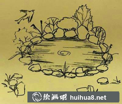 庭院水塘速寫