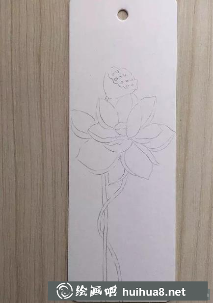 荷花書簽繪制步驟1