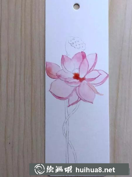 荷花書簽繪制步驟3