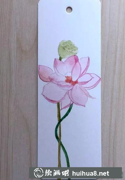 荷花書簽繪制步驟4
