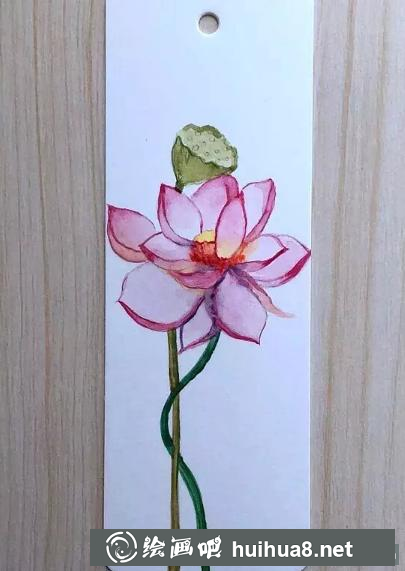 荷花書簽繪制步驟6