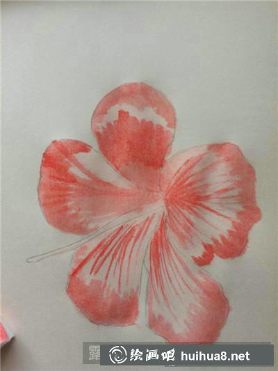 牡丹花水彩畫