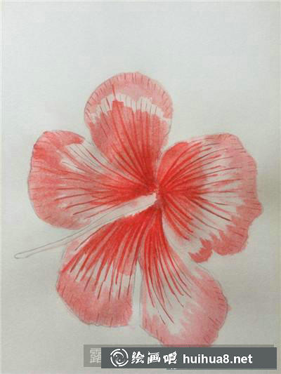 牡丹花水彩畫
