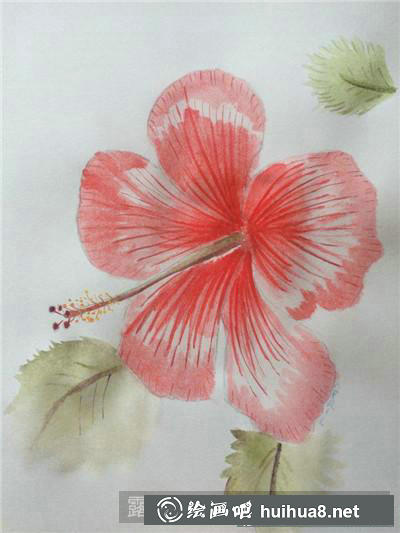 牡丹花水彩畫