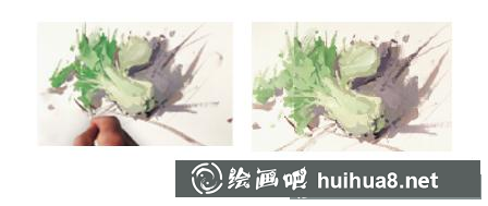 玫瑰的畫法