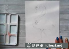 水彩繪火烈鳥步驟解析