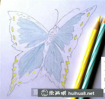 蝴蝶彩鉛畫