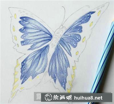 蝴蝶彩鉛畫