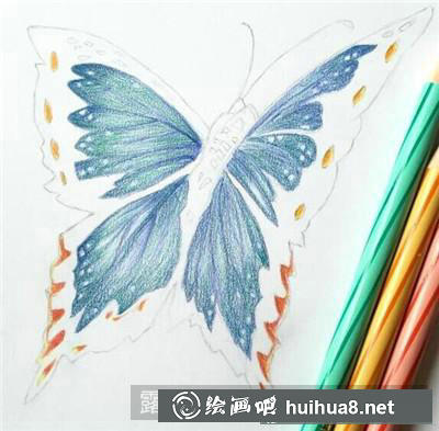 蝴蝶彩鉛畫