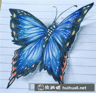 蝴蝶彩鉛畫