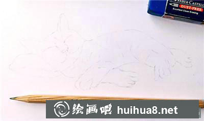 貓咪輪廓