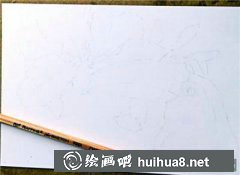彩鉛教程繪鳥兒技巧