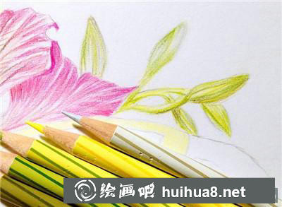 花鳥彩鉛花苞紋理