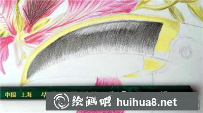 花鳥彩鉛喙部排線