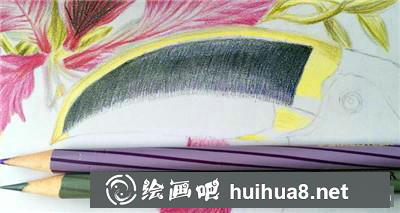 花鳥彩鉛受光區(qū)域