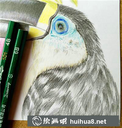 花鳥彩鉛羽毛排線