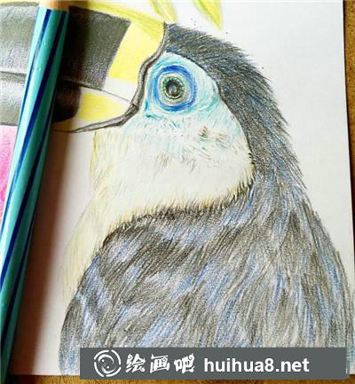 花鳥彩鉛亮部處理
