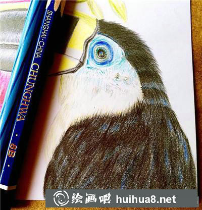 花鳥彩鉛暗部處理