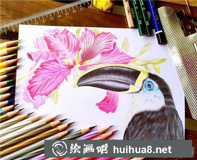 花鳥彩鉛最終效果