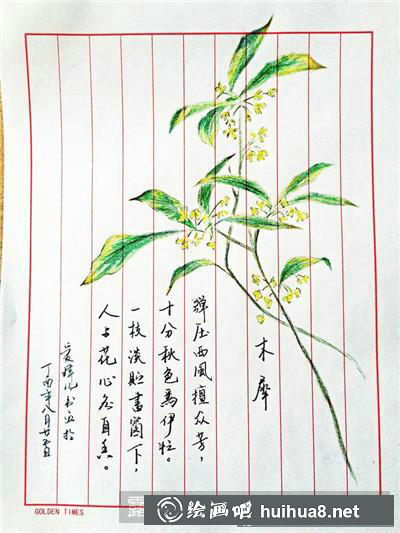 植物彩鉛