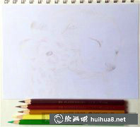 彩鉛教程萌狗愛繪畫
