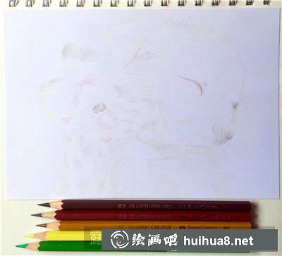 動(dòng)物彩鉛