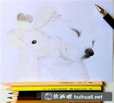 動(dòng)物彩鉛