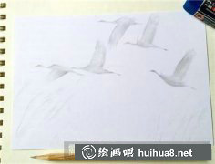 彩鉛繪雁南飛教程分享