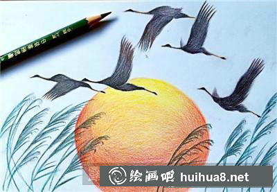 動物彩鉛