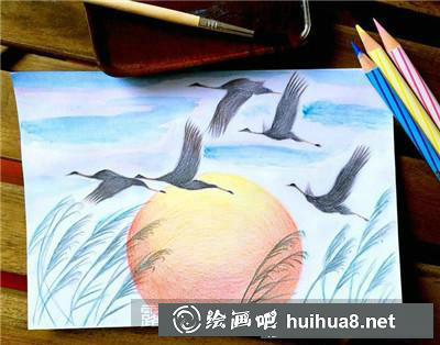 動物彩鉛