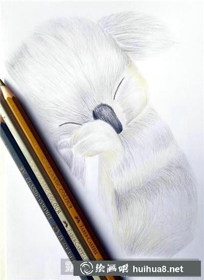動物彩鉛